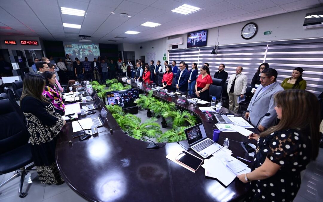 OPLE aprueba Consejo Municipal de Tamiahua para la elección extraordinaria 2026