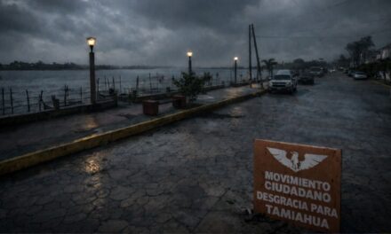El gran ausente: Movimiento Ciudadano