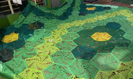 Orgullo Veracruzano: Un tapete monumental de más de 68 metros adornará el Parque Benito Juárez en Tamiahua